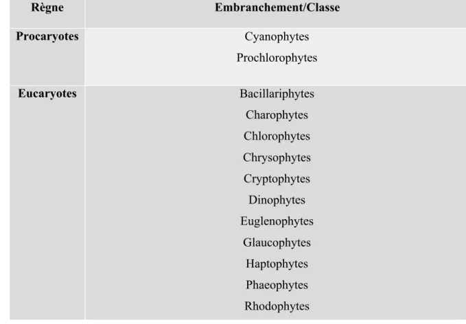 Tableau 1 : Diversité des microalgues eucaryotes et procaryotes, marines et d’eau douce  (Sialve &amp; Steyer, 2013)