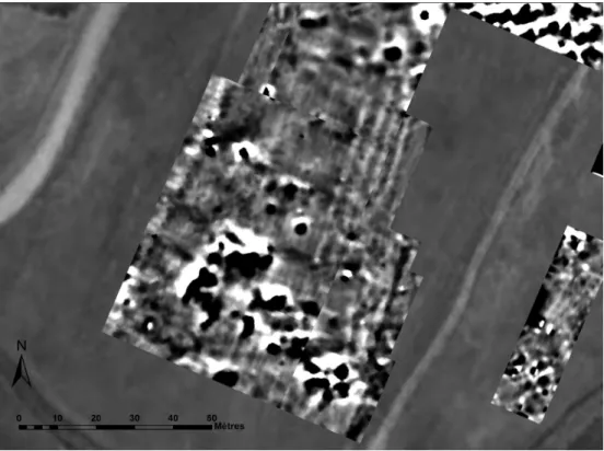 Fig. 3. Geomagnetic map of the Lower Town of Kunara (Chr. Benech).