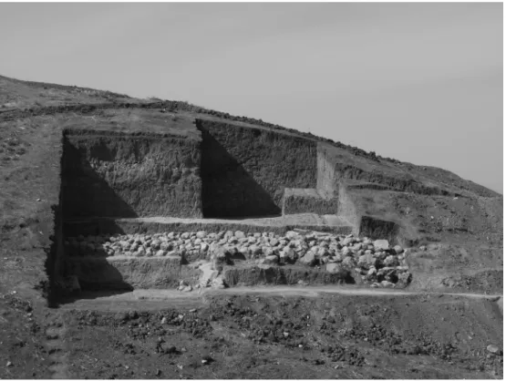 Fig. 5. Area A. The north-eastern angle of the monumental building (level 2) (C. Kepinski).
