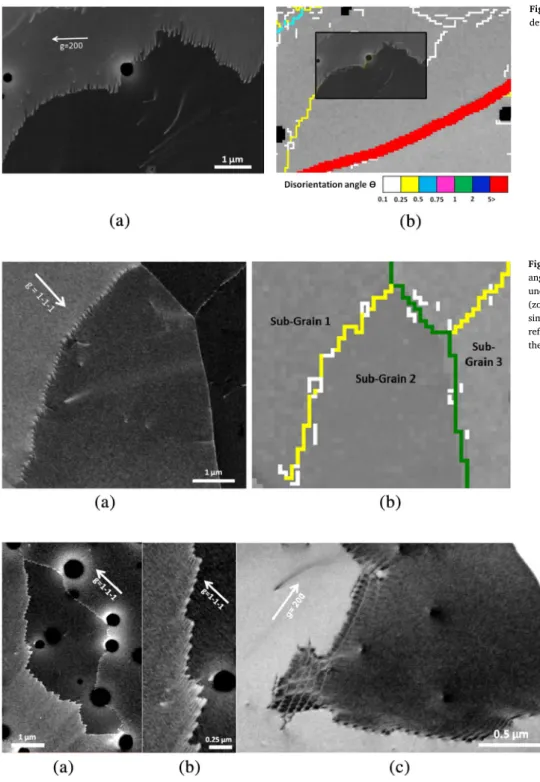 Fig. 8c highlights in random colors sub-grains identiﬁed within the prior UO 2 grains contoured in red