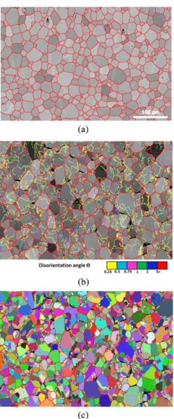 Fig. 10 maps the GND density in terms of entrywise norm of the Nye tensor for the deformed sample ( ﬁ ltered D3 map)