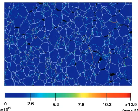 Fig. 10. Distribution of GND density (in terms of the entrywise1- entrywise1-norm) for the deformed sample, calculated from the ﬁltered EBSD data considering a cut-oﬀ angle of 5° (boundaries with larger  dis-orientations than 5° are drawn in white - a line