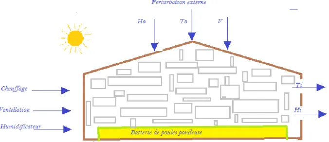 Figure II.2:  Mécanismes de transfert énergétique dans le bâtiment d’élevage 
