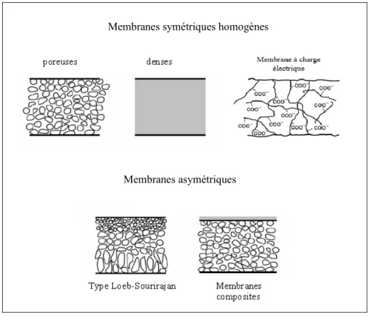 Figure I.2 : Représentation schématique des différents types de membranes en fonction de  leur structure [6]