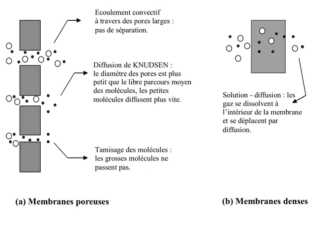 Figure II.1: Mécanismes de perméation des gaz à travers des membranes poreuses et denses  [41]