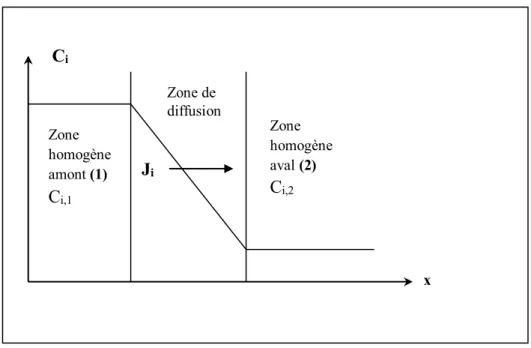 Figure II.3 : Profil de concentration en régime stationnaire de diffusion, à diffusivité  constante