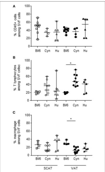 FIGURE 2 | Frequencies of hematopoietic CD45+ cells, macrophages, and T lymphocytes in SVF