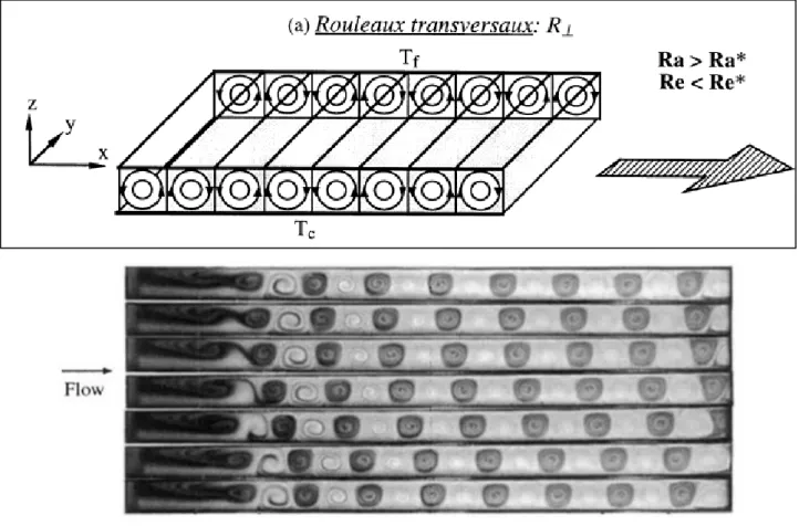 Figure 2.7 Représentation schématique des rouleaux longitudinaux [13] 