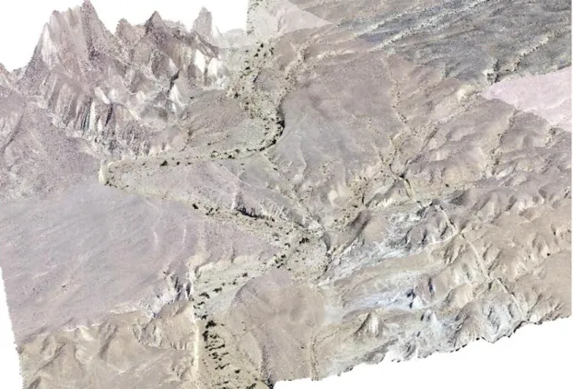 Fig. 3 : Modèle Numérique d’Elévation drapé par une mosaïque de photographies aériennes 