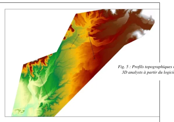 Fig. 5 : Profils topographiques réalisés avec  3D analysts à partir du logiciel ArcGIS
