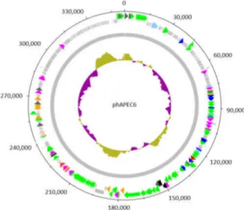Figure 2. Circular representation of the genome of the giant Escherichia phage vB_EcoM_PhAPEC6.