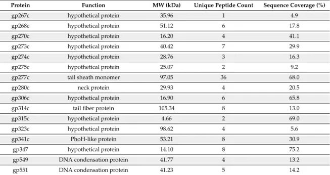 Table 1. Cont.