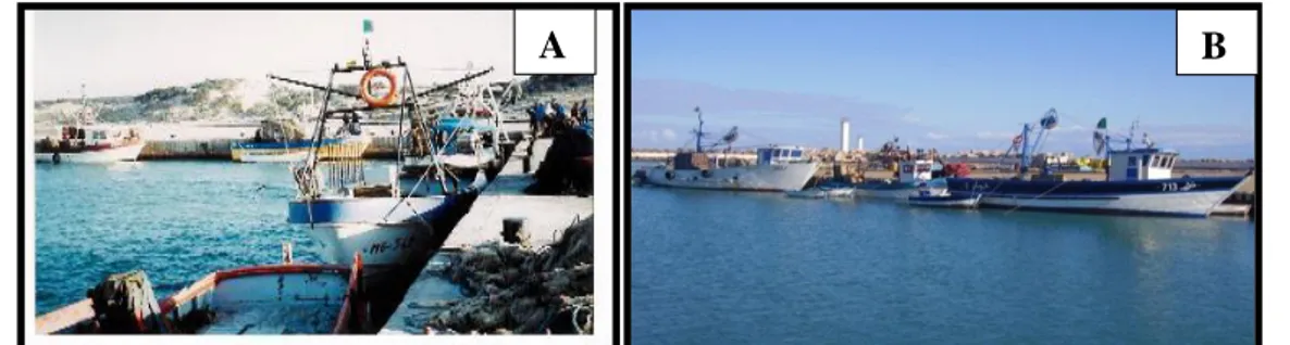 Figure 20 : Le Port de pêche et de plaisance de Sidi Lakhdar (Petit port) (DPRH, 2011)
