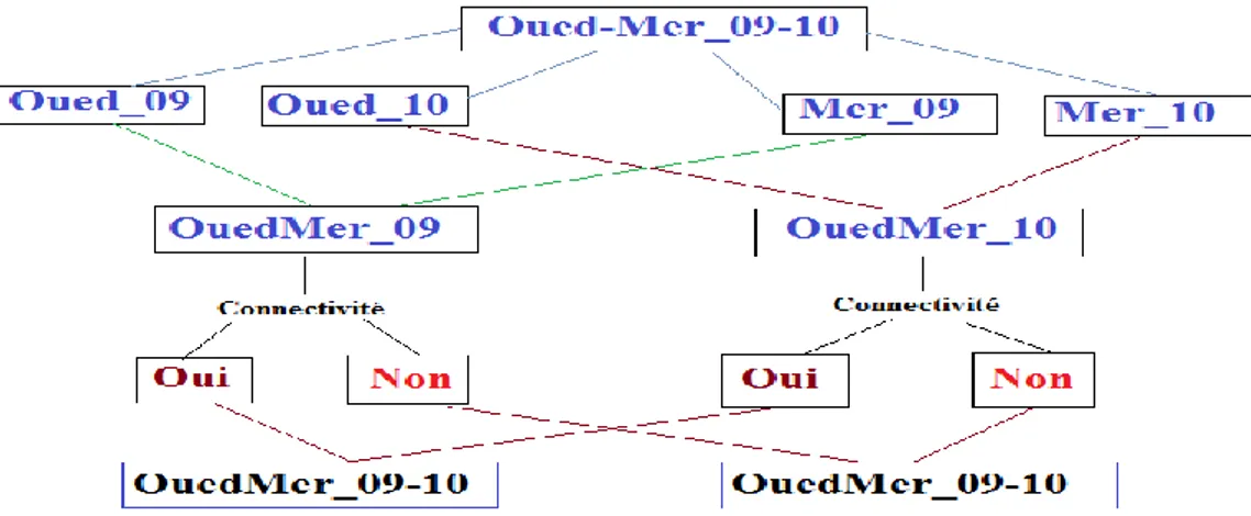 Figure 25: Organigramme réalisé à partir du tableau source le plus complexe (des deux sites  Oued-Mer pendant les deux années 2009-2010)