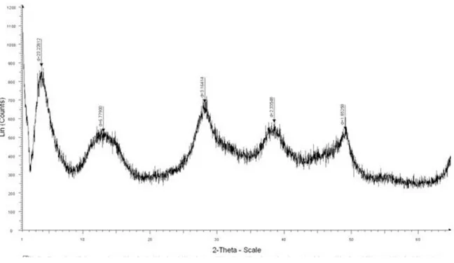 Figure III.58. Spectre IR de la couche d’activation de la membrane céramique après traitement  thermique à T 870C°