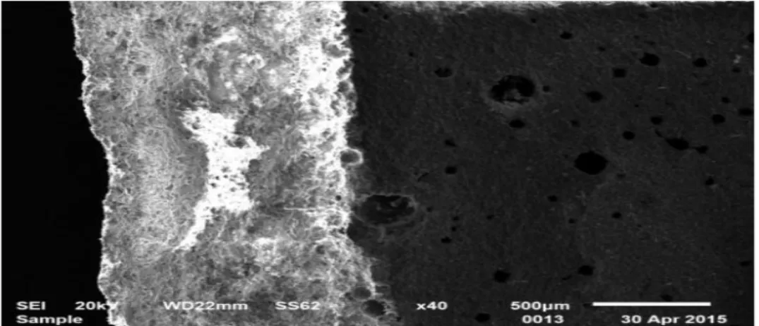 Figure III.61 .image de MEB de la membrane MCK2 : c) vue profile ;d) vue surface 