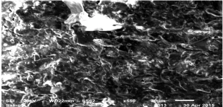 Figure III.62.Image du MEB de la membrane MCKA2 : e) vue profile ;f) vue surface 