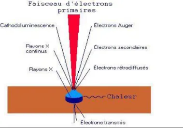 Figure .I.34. Illustration des zones d'interaction entre les électrons primaires et l'échantillon et les  principales émissions produites 