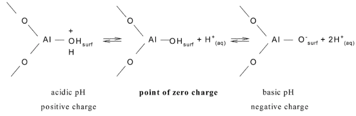 Figure III.8: Influence du pH sur le comportement de la surface interne [7] 