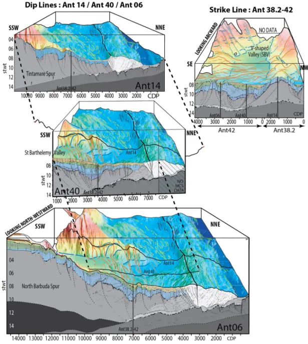 Figure 4.  Three-dimensional seismic bathymetry view for lines Ant14, 40, 06, 38.2, and 42 (see solid orange lines in Figure 3 for location)