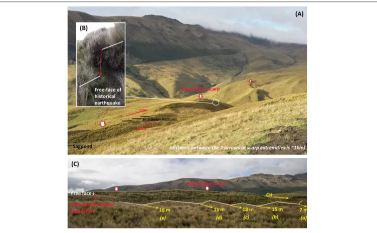FIGURE 6 | Field observations along the main DEM lineament, which clearly corresponds to a cumulative uphill-facing counter scarp that offsets morphological features (A)