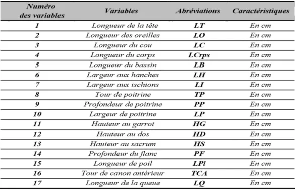 Tableau 05: Variables quantitatives 
