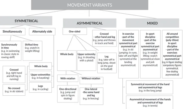 Figure 4. Classiﬁcation variants of movement symmetry and asymmetry in diﬀerent sport  disciplines
