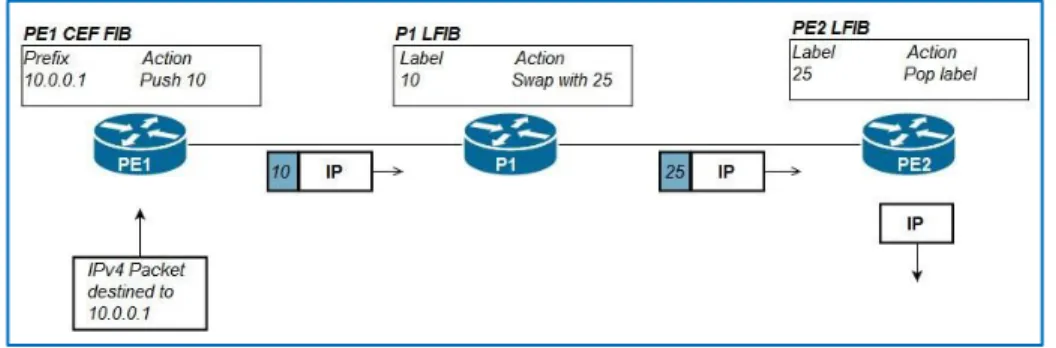 Figure 1.6: Different Information Base Structures 