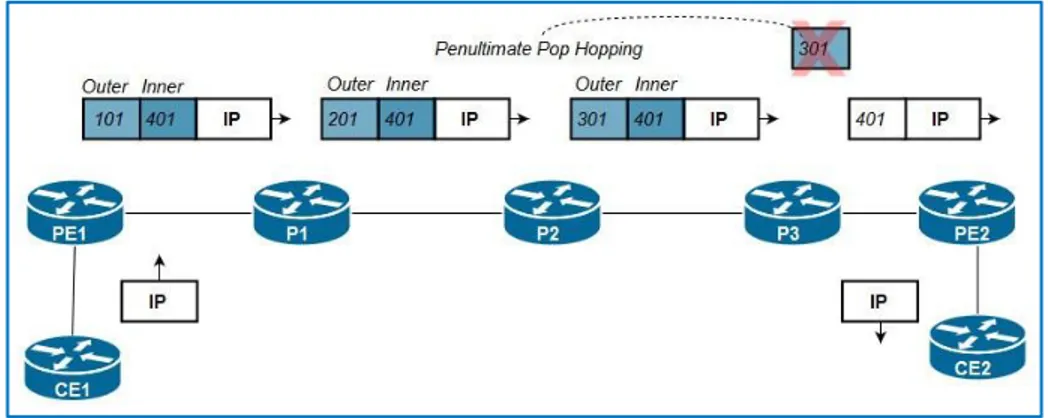 Figure 2.9: MPLS VPN Traffic Forwarding Paradigm 