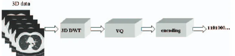 Fig. 6. MRI acquisition composed of 7 short axis slice levels and 30 cardiac phases at each level.