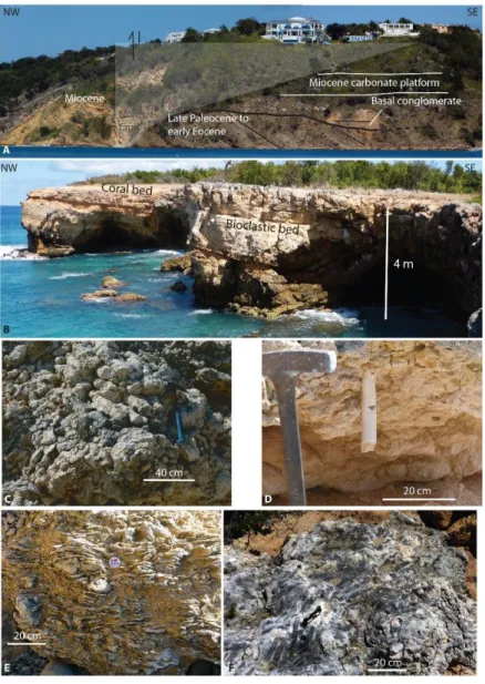 Fig.  4:  Field  view  of  Anguilla.  A:  southeastward  tilted  upper  Palaeocene  to  lower  Eocene  1046 