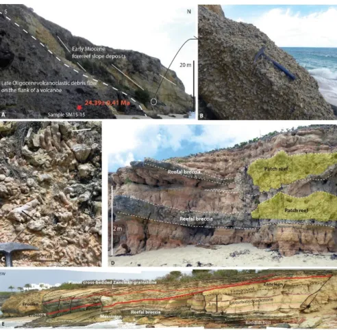 Fig.  6:  Field  view  of  St  Martin.  A  and  B:  lower  Miocene  reefal/forereef  slope  deposits  1062 