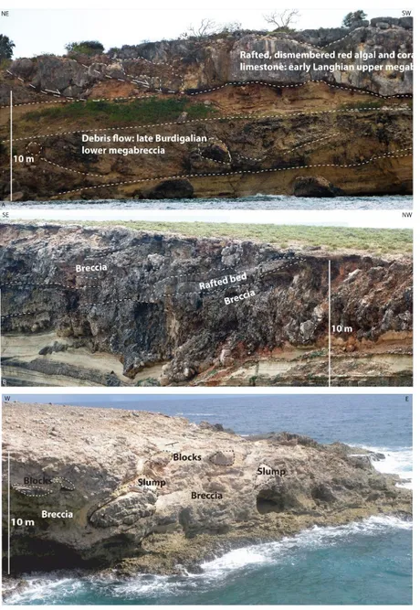 Fig.  9:  Megabreccias  at  Tintamarre,  locations  in  Appendix  E.  A:  lower  and  upper 1084 
