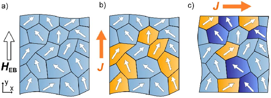 Figure 5: Simplified two-dimensional sketches of grains within the anti-ferromagnetic layer