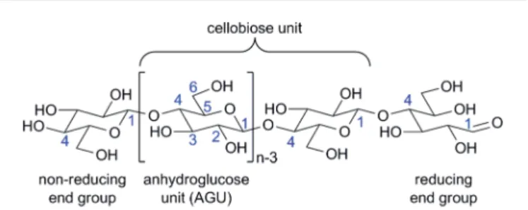 Fig. 1 Cellulose molecular structure ( n ¼ DP, degree of polymerization).