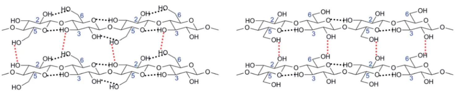 Fig. 6 presents how cellulose molecules and resultant brils take part in the cell walls of plant bers.