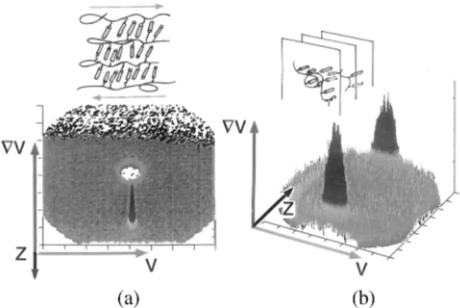 FIG. 4. Scattering patterns (2D-multidetector PAXY): (a) in the 共 y៬ , = ?៬ y兲៬ plane for the low molecular weight PMA-OC 4 H 9