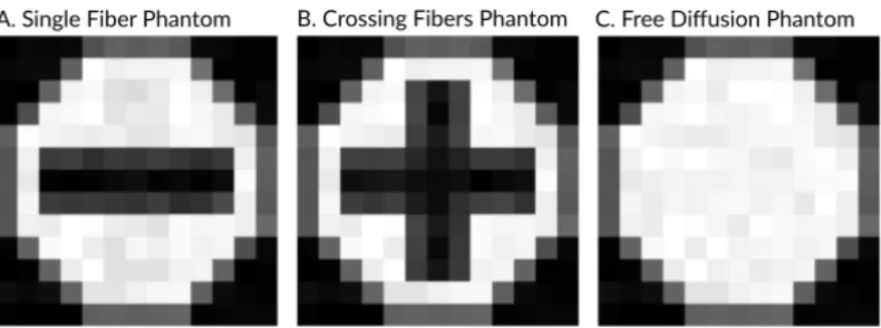 Figure 2: Experiment on synthetic data. A. Phantom with only one fiber bundle. B. Phantom with crossing fibers