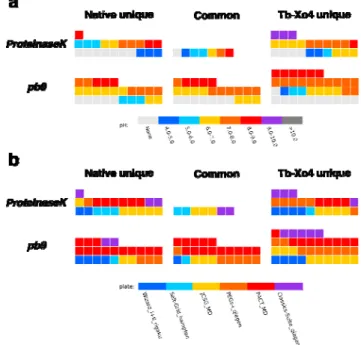 Figure 4: SOI representation of the analysis of the influence of (a) pH and (b) crystallization kit on the crystallization of ProteinaseK and pb9 in the absence/presence of 10 mM Tb-Xo4