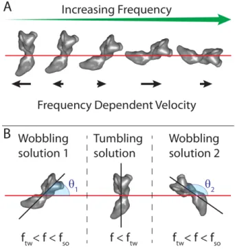 Figure 2. Frequency dependent axis of rotation (A). The orientation of a propeller towards its  axis of rotation (red horizontal line) changes with increasing frequency for some geometries to  balance the magnetic and hydrodynamic torques