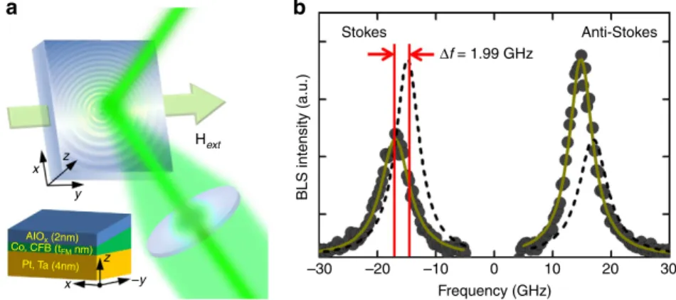 Figure 1 | The BLS measurements. (a) Schematic conﬁguration of the BLS measurement. The external magnetic ﬁeld is applied along the y-direction and a p-polarized laser beam excites two interfaces SWs along the x-direction