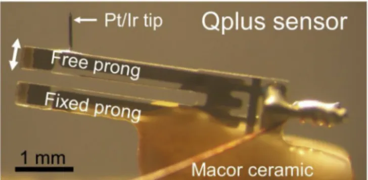 Fig. 1. Home-made qPlus sensor. One prong of a tuning fork isﬁxed to a macor ceramic plate, the other free prong has a Pt/Ir tip attached to it at the very end.