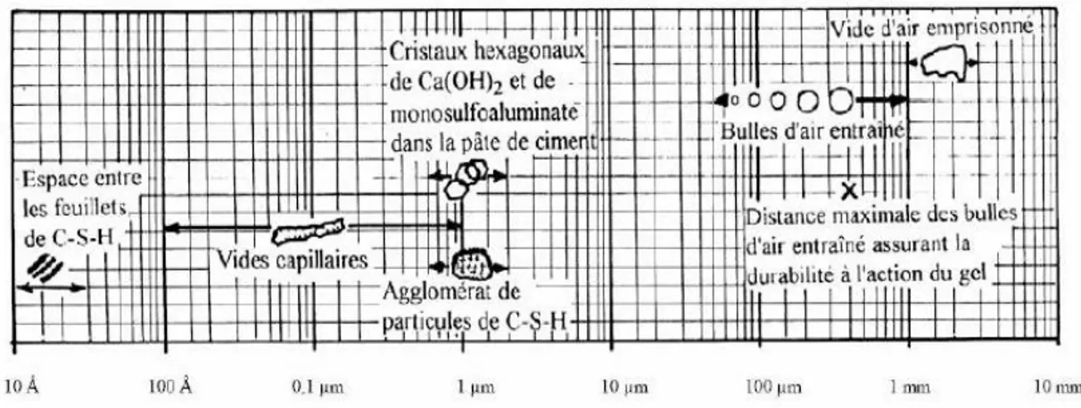 Figure I.3 : Les différentes formes de pores dans la pâte de ciment durcie classées par taille  d’après Mehta et Monteiro  [29] 