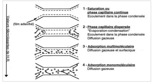 Figure I.14 : Schématisation du processus de désorption lorsque l’humidité relative ambiante diminue  [04] 