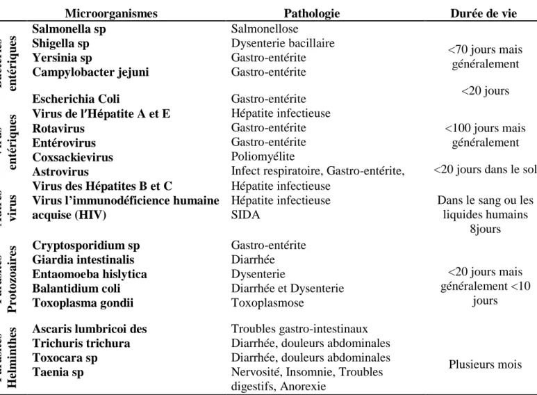 Tableau 4. Les principaux microorganismes susceptibles de se retrouver dans les déchets ménagers  (Schwartzbord et al., 1998)