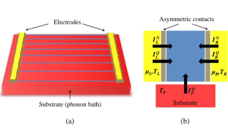 FIG. 1. (Color online) (a) Sketch of the NW-based ratchet studied in this work. A large array of parallel disordered NWs (in blue) is deposited onto an insulating substrate (in red) acting as a phonon bath