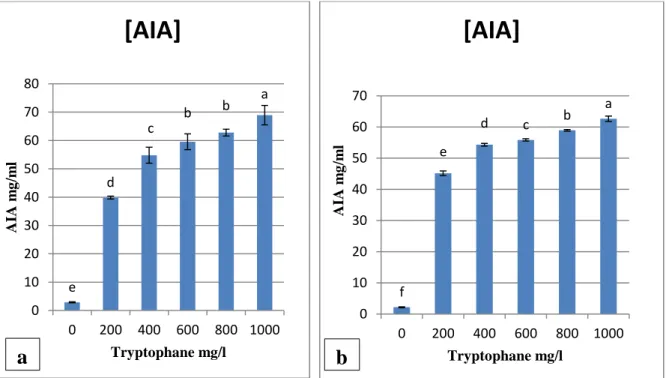 Figure 18 : Effet de différentes concentrations du tryptophane sur la production de, a : isolat  S 1 , b : isolat S 2 