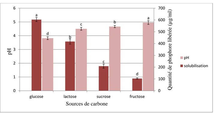 Figure 08 : Effet de diverse source de carbone sur la solubilisation du phosphate par l’isolat   A1