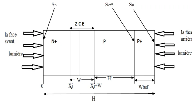 Figure III-3 : Représentation schématique d’un modèle à une dimension de la cellule solaire  bifaciale