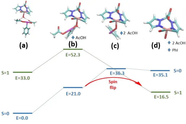 Figure 6. Thermodynamics of conversion of Ru2 to Ru IV (Cl)=O using PIDA. The red arrow indicates the path of  least resistance to a stable oxo, assuming a change in spin state is possible